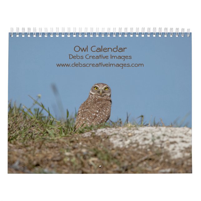 2023 Uggla Kalender (Omslag)