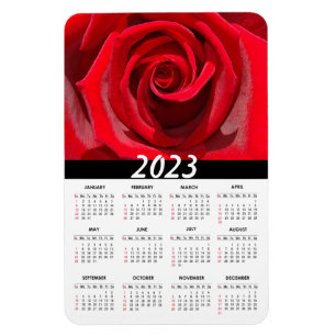 2023 Vacker Röd ros   Kalender för Blommigt Magnet