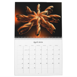 2024 3D-samlingskalender Kalender