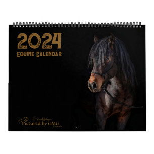 2024 års fotopalender för häst kalender