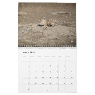 2024 års kalender för vilda djur