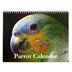 2024 års Parrot-kalender Kalender