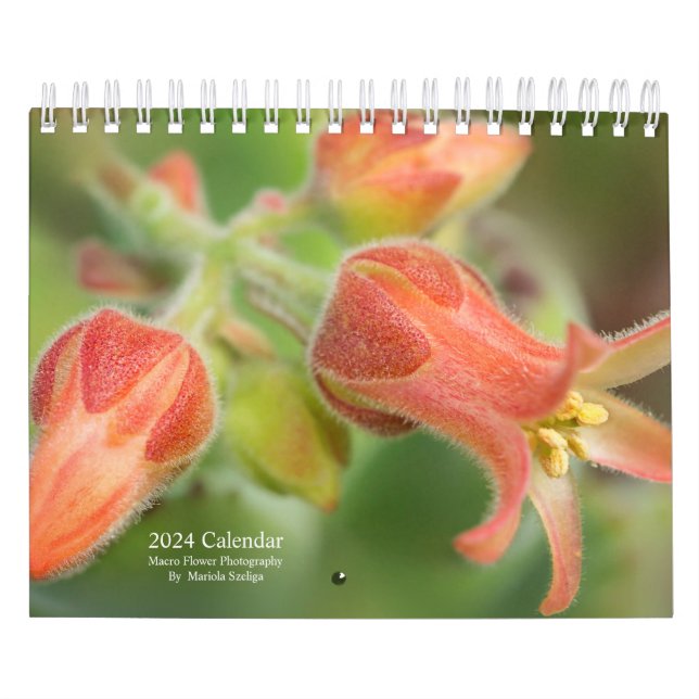 2024 års väggkalenderblommor i makrofotografi kalender (Omslag)