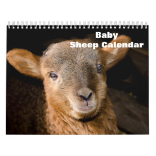 2024 Baby får Lamb Kalender
