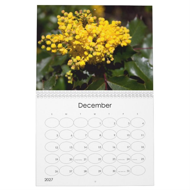 2024-Blommigtens explosionskalender Kalender (Dec 2027)