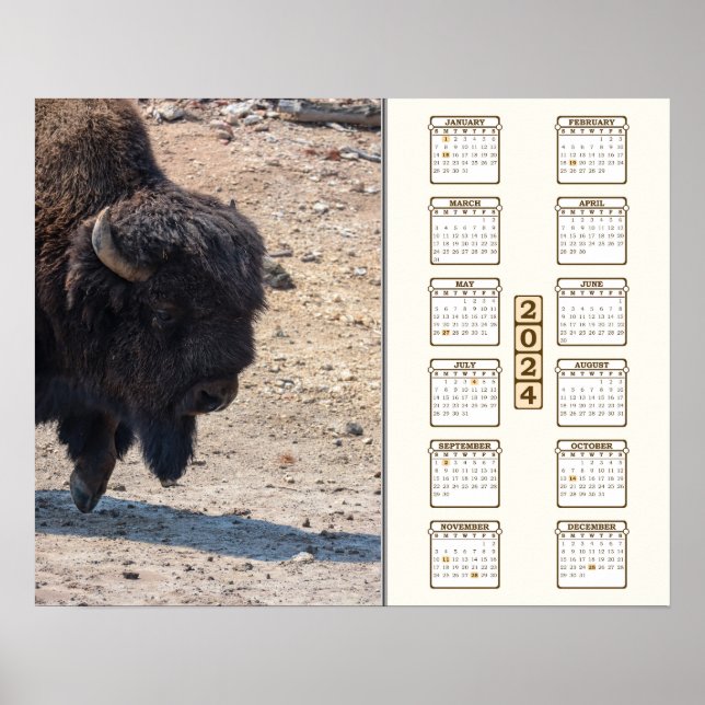 2024 - "Buffalo" Poster (Framsidan)