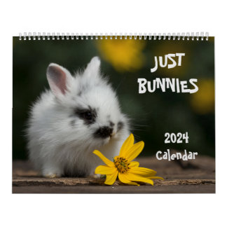 2024 Bunnies Large Wall Calendar Kalender