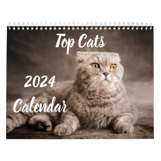 2024 Calendar Top Cats UK Events & Helgdagars Kalender (Omslag)