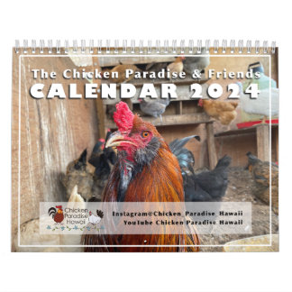 2024 Chicken Paradise Hawaii Kalender