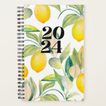 2024 citron