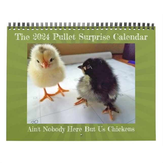2024 Det är ingen här, men vi har kycklingkalender Kalender (Omslag)