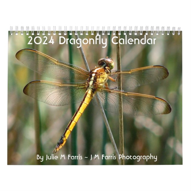 2024 Dragonfly Calendar Kalender (Omslag)