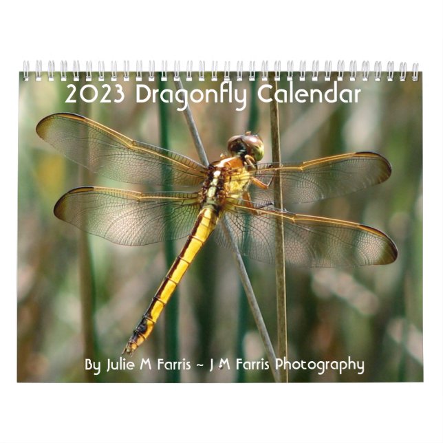 2024 Dragonfly Calendar Kalender (Omslag)