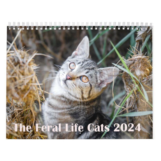 2024 Feral Life 2024 Fackigt naturkatt Kalender (Omslag)