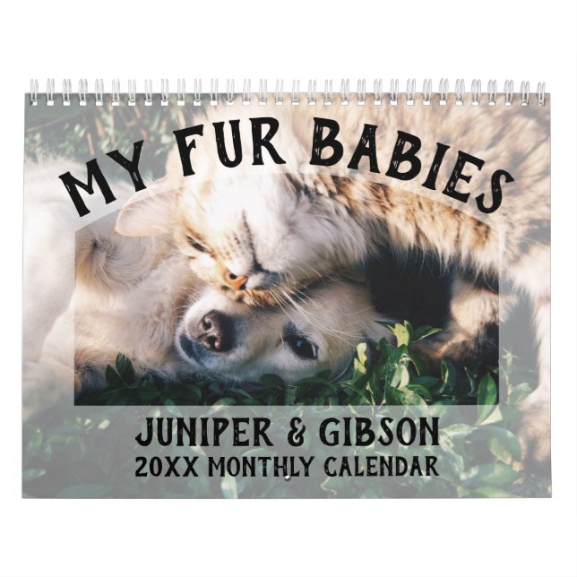 2024 Fotokalender: Päls Spädbarn, sällskapsdjur, k Kalender (Omslag)