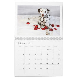 2024 Fredskalendern Kärlek & Chocolate Dalmatien Kalender
