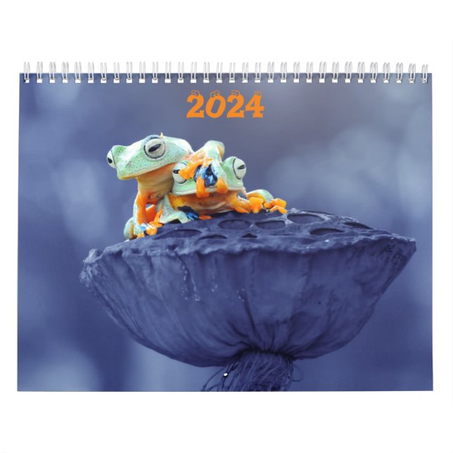 2024 Frog Älskare Calendar Kalender (Omslag)
