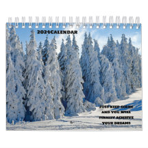 2024: fyra säsongsskogar