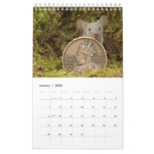 2024 George musen i ett logaritmhus Kalender