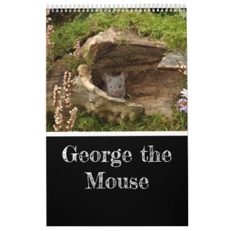 2024 George: muskalender 24 Kalender