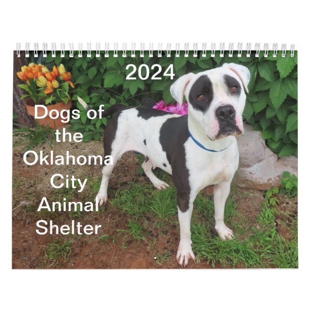 2024 Hundar av Oklahoma City Animal Shelter Kalender (Omslag)
