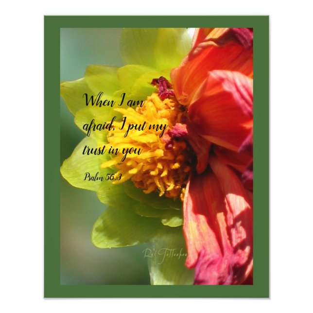 2024 JW year text Psalm 56:3 Fototryck (Framsidan)