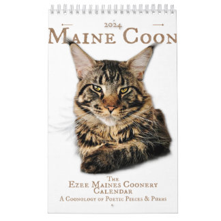 2024 Kalender Maine Coon cat & kittens, poesry