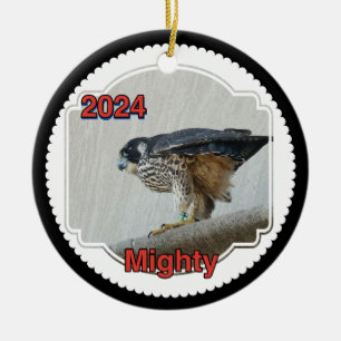 2024 Keramisk Cirkulär Ornament Mäktig