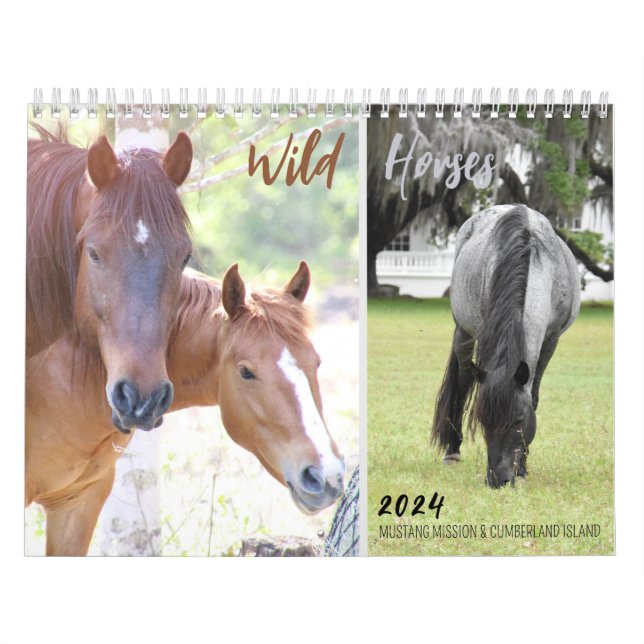2024 Mustang Uppdrag's Vild Horses - Calendar Kalender (Omslag)