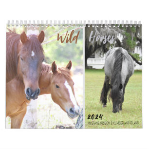 2024 Mustang Uppdrag's Vild Horses - Calendar Kalender