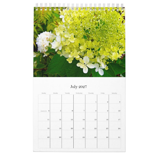 2024 My Rubio Garden Elegant Hydrangeas Kalender (Jul 2027)