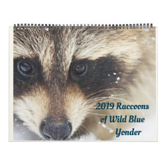 2024 Rasioner av Vild Blue Yonder Wildlife Rädding Kalender