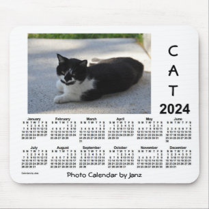 2024 Sassy Cat Photo Calendar av Janz Musmatta