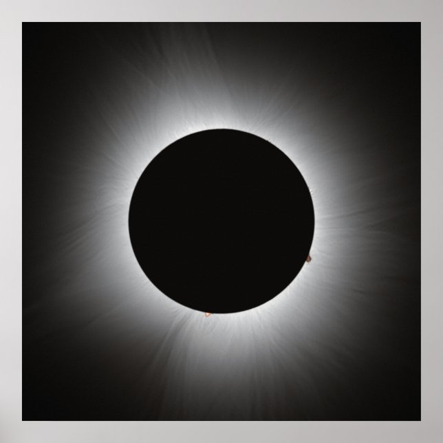 2024 Solar Eclipse - Corona Poster (Framsidan)