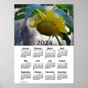 2024 Solroskalender från Janz Poster