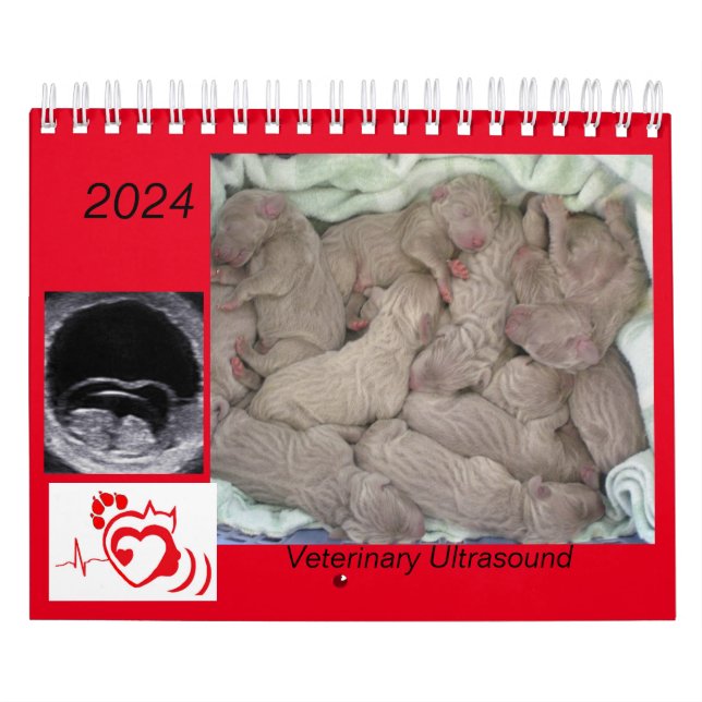 2024 Veterinary Ultrasound Imaging Calendar Kalender (Omslag)