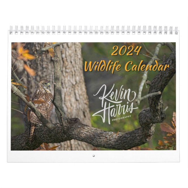 2024 Wildlife Calendar by Kevin Harris Kalender (Omslag)