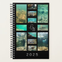 2025 Ancient Vatten: Fotokollage