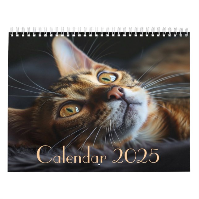 2025 Anpassade Kattkalender med anteckningar Kalender (Omslag)