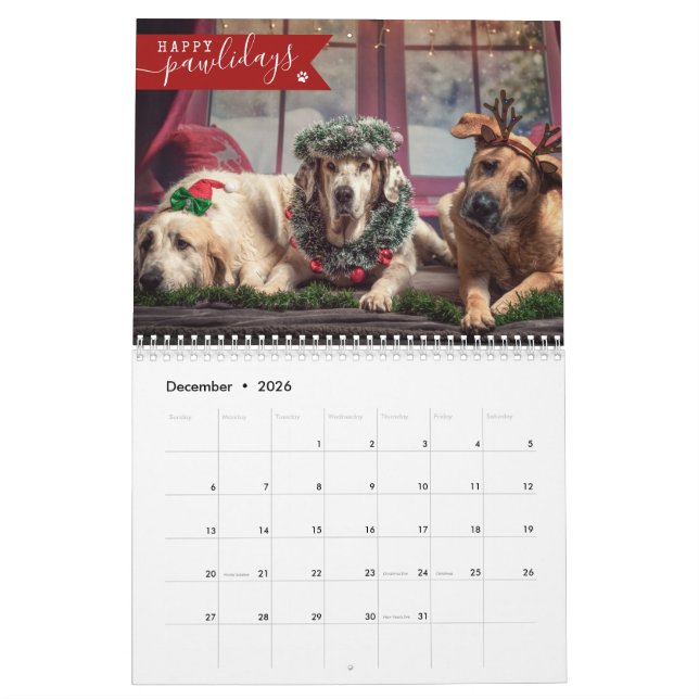 2025-Anpassningsbarnas Hund Foto 1-bild per månad  Kalender (Dec 2026)