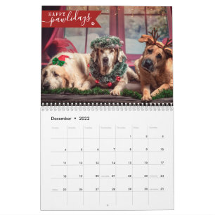 2025-Anpassningsbarnas Hund Foto 1-bild per månad  Kalender