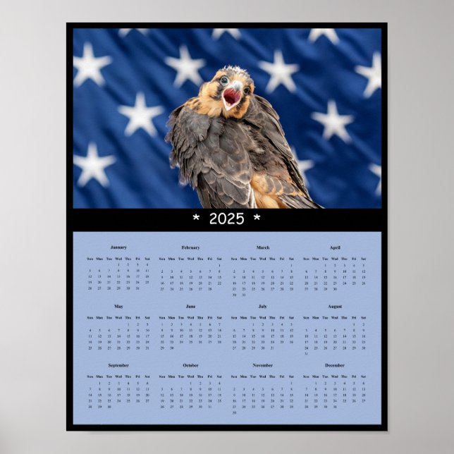 2025 Aplomado Falcon Calendar-Poster Poster (Framsidan)