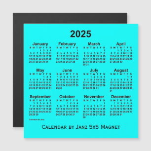 2025 års Aqua Calendar av Janz 5x5 Magnet