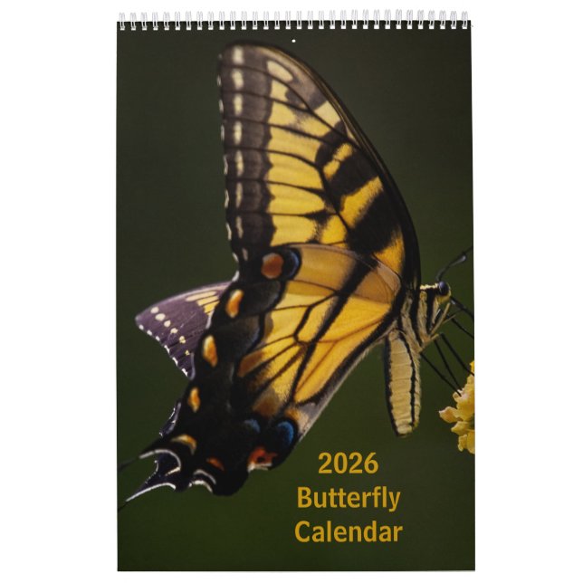 2025 års Butterfly One Page Calendar Kalender (Omslag)