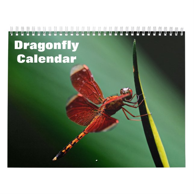 2025 års Dragonfly-kalender Kalender (Omslag)