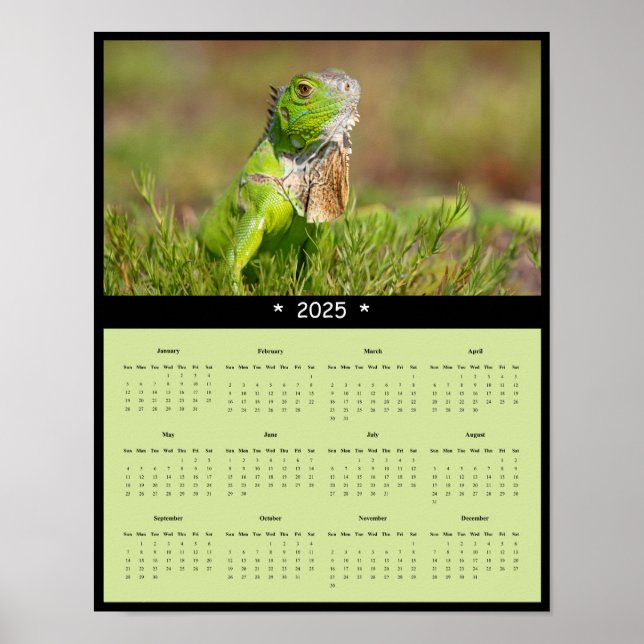 2025 års kalender för Iguana-muren Poster (Framsidan)