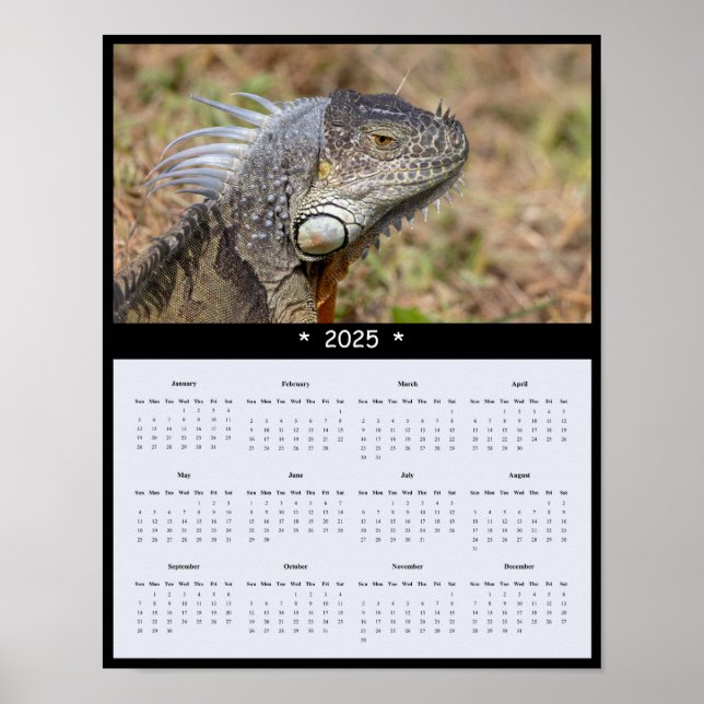 2025 års kalender för Iguana-muren Poster (Framsidan)