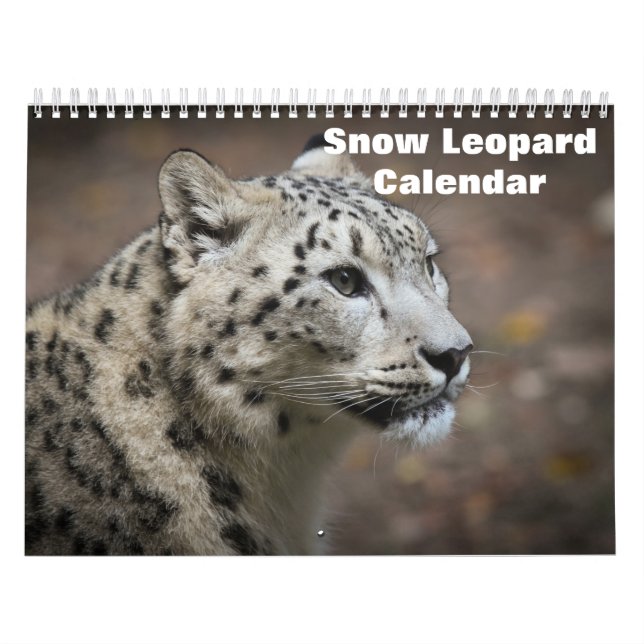 2025 års kalender för leopard i Snö (Omslag)