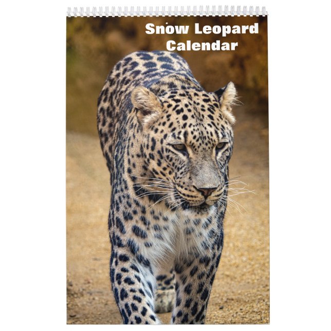 2025 års kalender för leopard i Snö (Omslag)