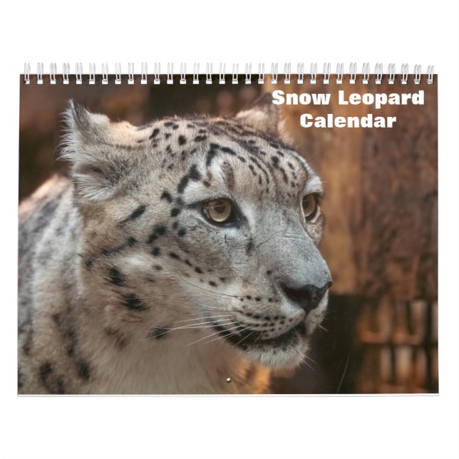 2025 års kalender för leopard i Snö (Omslag)